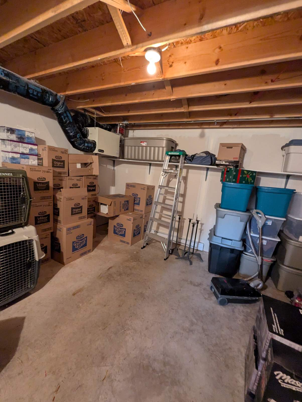 Unfinished basement storage area before renovation, Dieppe NB